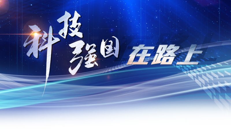 企业数据安全解决方案品牌排行榜