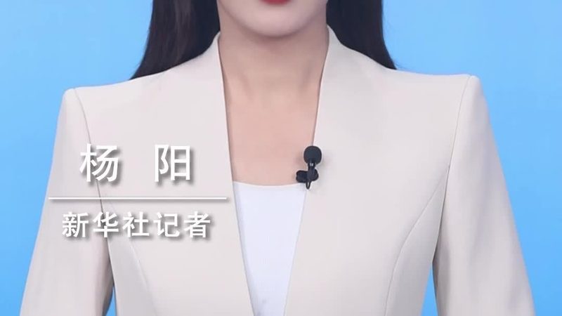 数据安全备份策略：如何构建稳固的防线